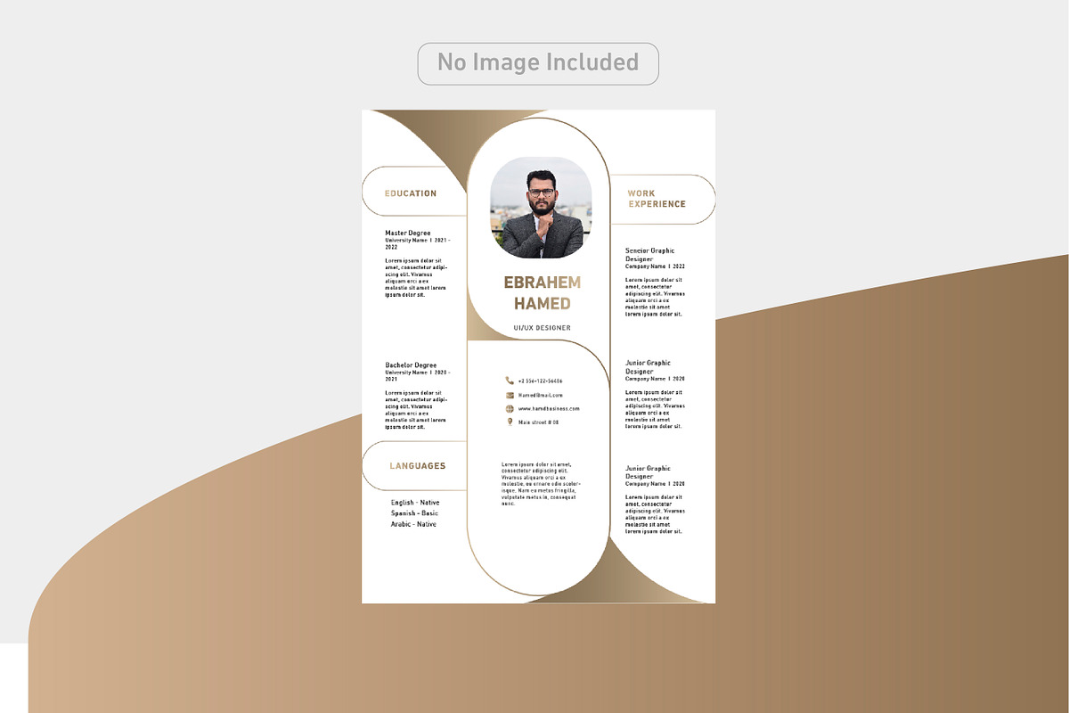 Luxury and simple CV, a Resume Template by Hamed Studio
