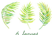 Watercolour clipart Palm Leaves, an Illustration by AqwaColor (Thumbnail 2 of 3)