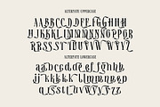 Timothy Robinson, a Serif Font by Cruzine (Thumbnail 6 of 8)