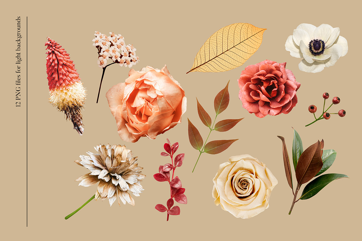 Isolated real flowers clipart set, an Object Graphic by The Graphic Parade (Photo 3 of 14)