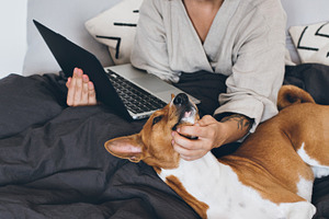 Freelancer works from home with dog featuring love, dog, and woman