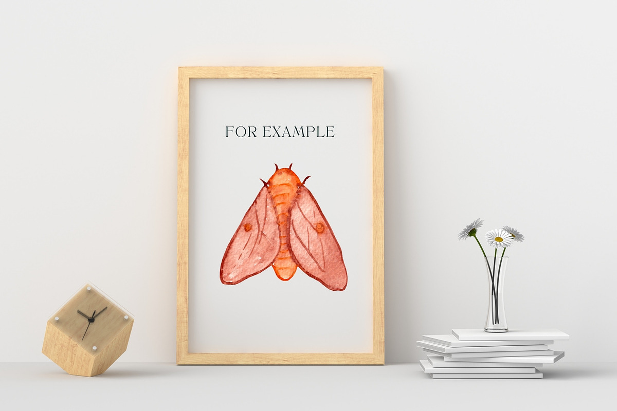 Watercolor Insects, Biological Set, an Illustration by Mia Digital (Photo 4 of 5)