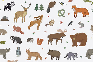 Forest Animals