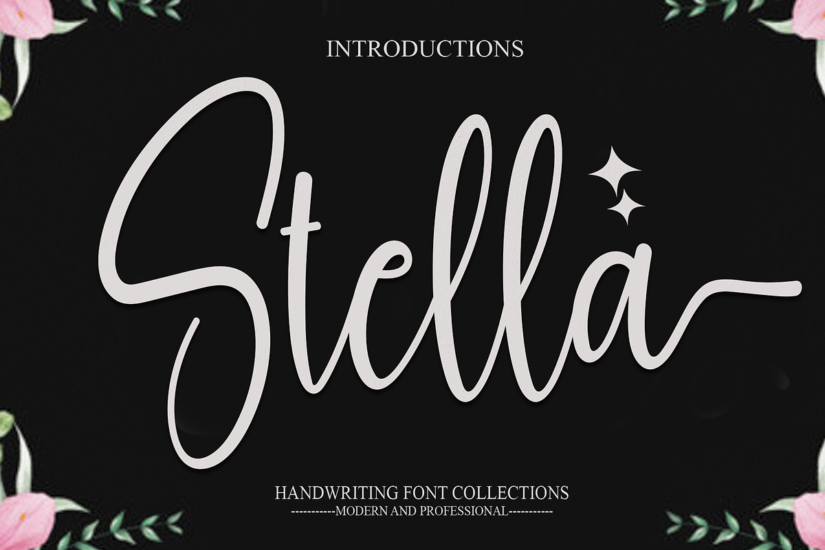 Stella | Script Font, a Script Font by Scratchones (Photo 1 of 6)