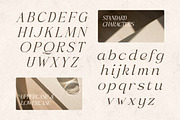 Moshville - Stylish Classy Serif, a Serif Font by Shakira Studio (Thumbnail 9 of 10)