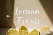Black Monde, a Serif Font by Zafiratype (Thumbnail 9 of 15)