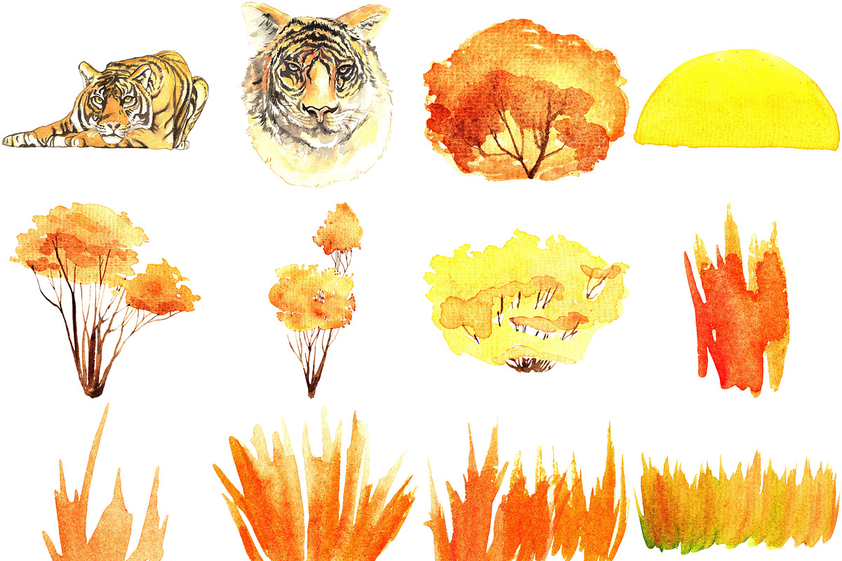 REALISTIC TIGER WATERCOLOUR CLIPART, an Animal Illustration by LilyBoo Clipart (Photo 5 of 5)