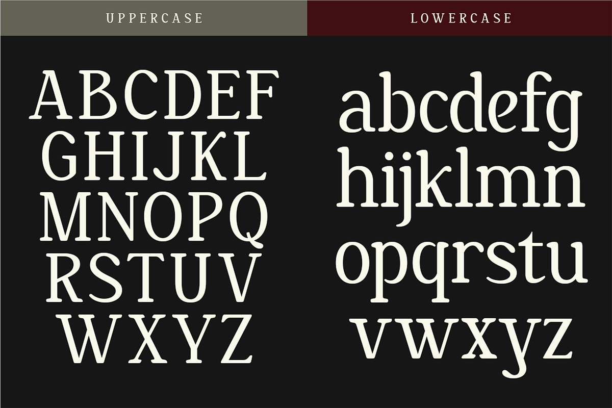 Nakota - Modern Clean Serif Font, a Serif Font by Pekotype (Photo 3 of 15)