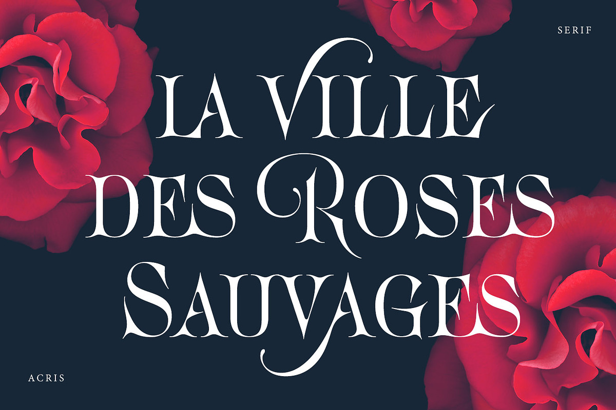 Acris Serif, a Serif Font by Andrey Sharonov (Photo 2 of 16)
