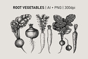 Vegetables & Herbs Vector Sketches., an Object Graphic by Yevheniia (Thumbnail 7 of 11)