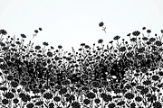 60 Daisy Flower Field Silhouette, a Seasonal Illustration by Amazin_art (Thumbnail 15 of 22)