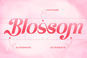 Blessyra - Sans Serif Display Font, a Sans Serif Font by Rishsketch (Thumbnail 6 of 15)
