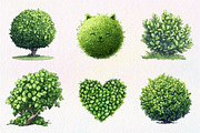 Watercolor Bushes Clipart Bundle, an Illustration by CreationArt (Thumbnail 3 of 6)