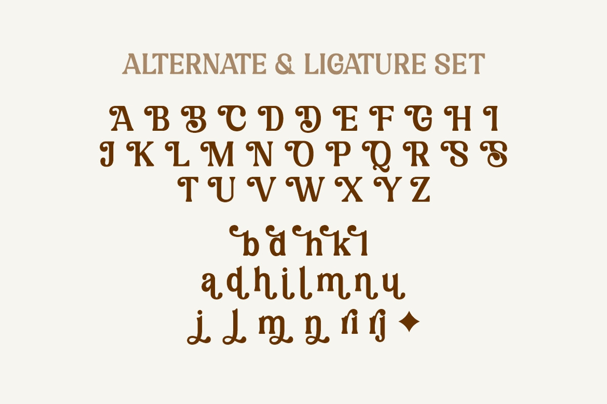 Mekuria Salten Font, a Serif Font by HansCo Studio (Photo 9 of 10)