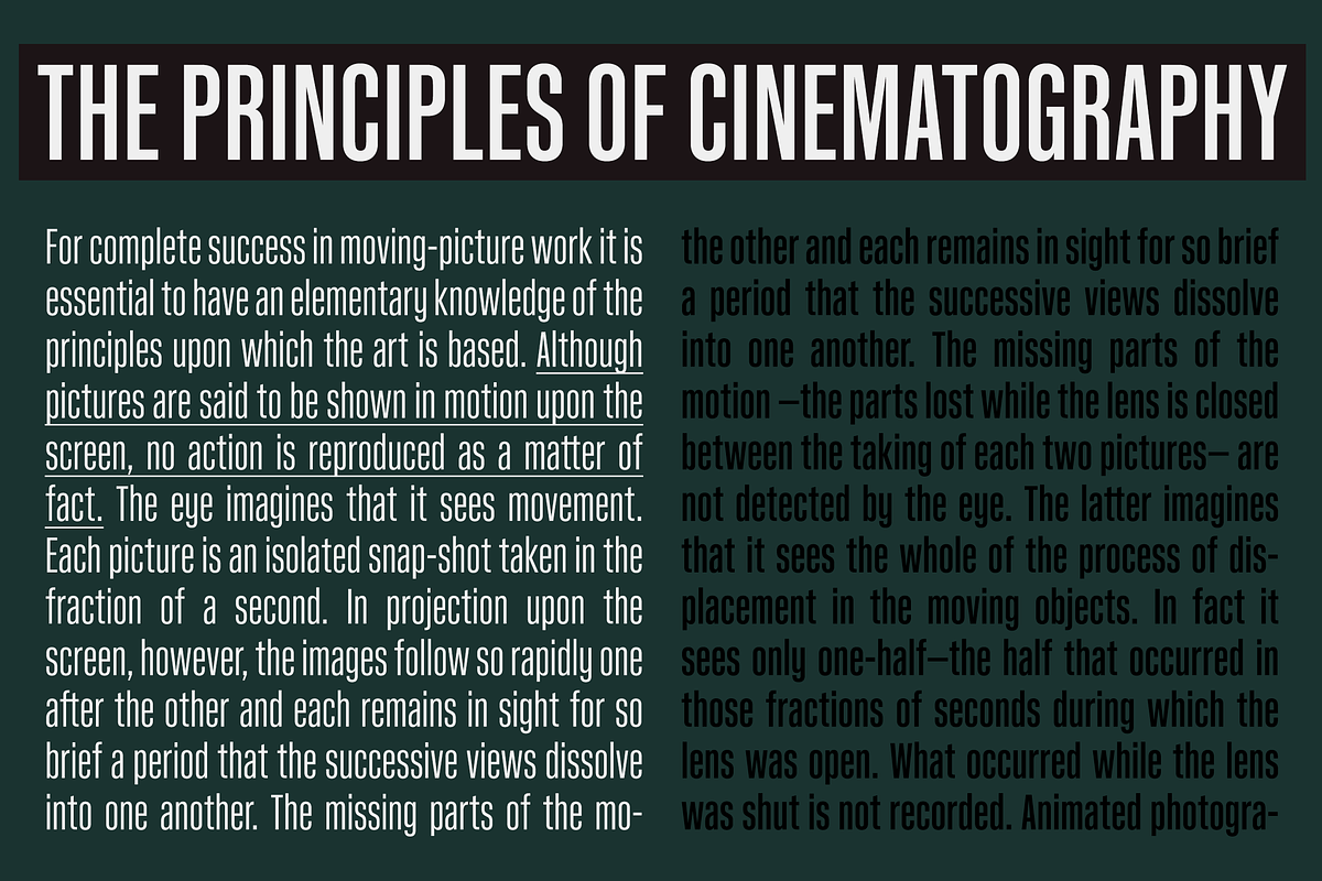 Kaneda Gothic, a Sans Serif Font by Dharma Type (Photo 10 of 10)