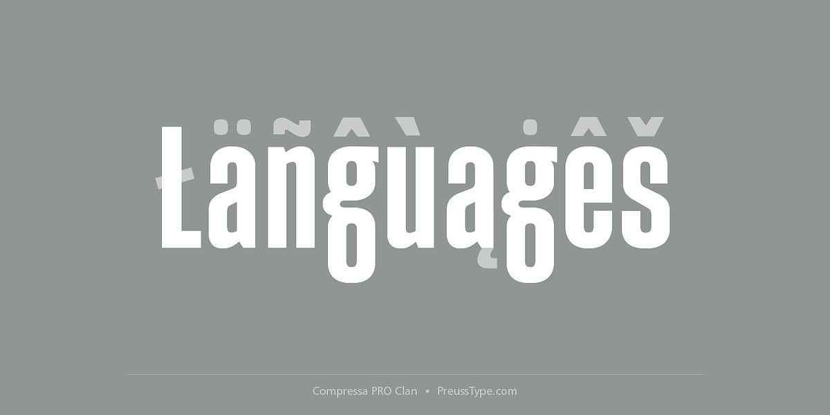 Compressa PRO, a Sans Serif Font by preussTYPE (Photo 4 of 9)