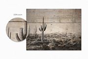 Textures of Texas, a Texture Graphic by rileyBgraphics (Thumbnail 8 of 8)