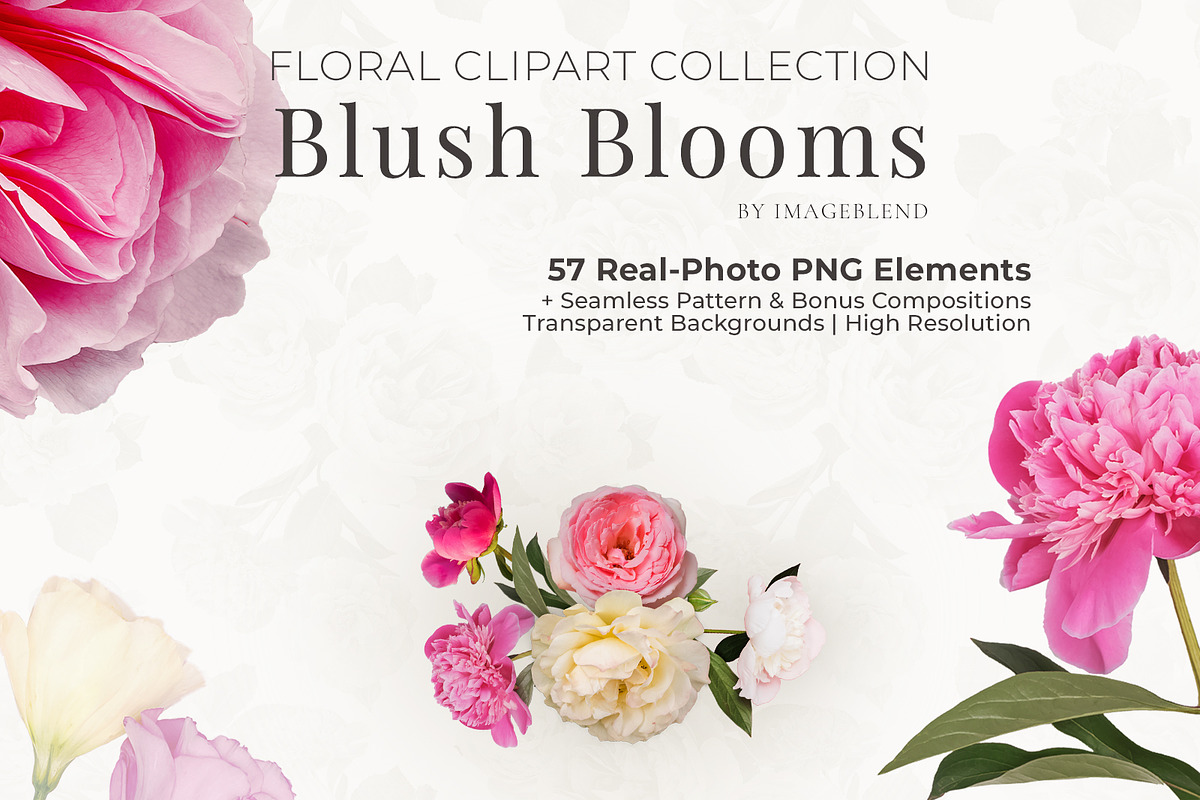 PNG Floral clipart collection, an Object Graphic by Imageblend (Photo 1 of 8)
