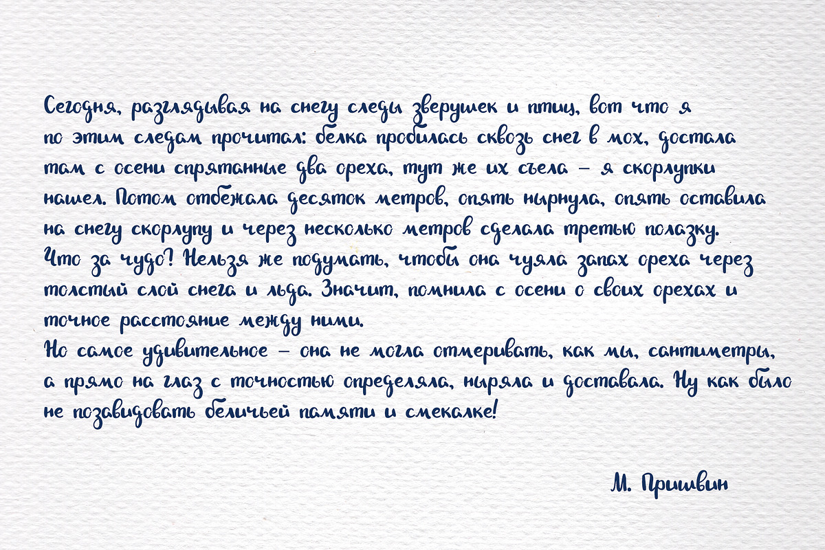 Cute Brushpen Handwritten Font, a Sans Serif Font by RabbitAndPencil (Photo 6 of 9)