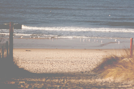 Beach featuring beauty, sea, and beach