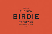Birdie | Vintage Print Font, a Handwritten Font by Taylor Penton (Thumbnail 2 of 6)