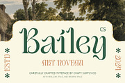 CS Bailey – Art Nouveau Font, a Serif Font by Craft Supply Co. (Thumbnail 1 of 8)