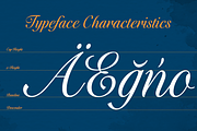 Evalfey, a Script Font by insigne (Thumbnail 4 of 5)