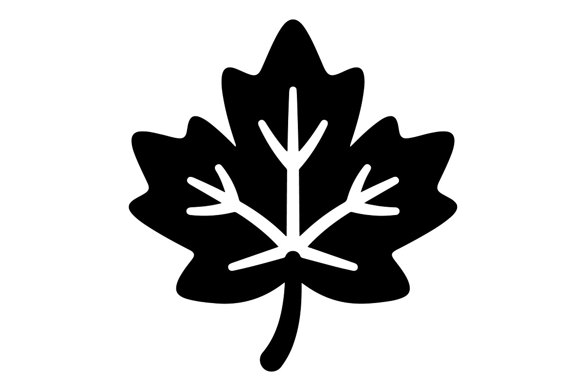 Maple Leaf Acorn Autumn, an Object Graphic by Gfx_Store (Photo 12 of 18)