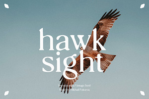 hawk sight - vintage serif