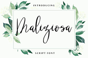 MALIZIOSA SCRIPT