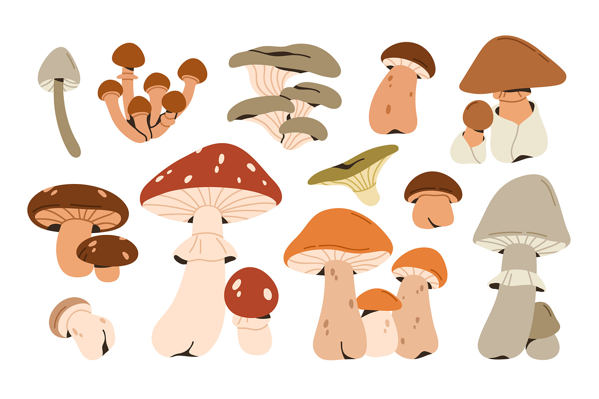 Autumn mushrooms, forest fungi set, a Food Illustration by Good Studio (Photo 2 of 6)