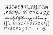 Natyl, a Script Font by Digital Typeface Studio (Thumbnail 5 of 5)