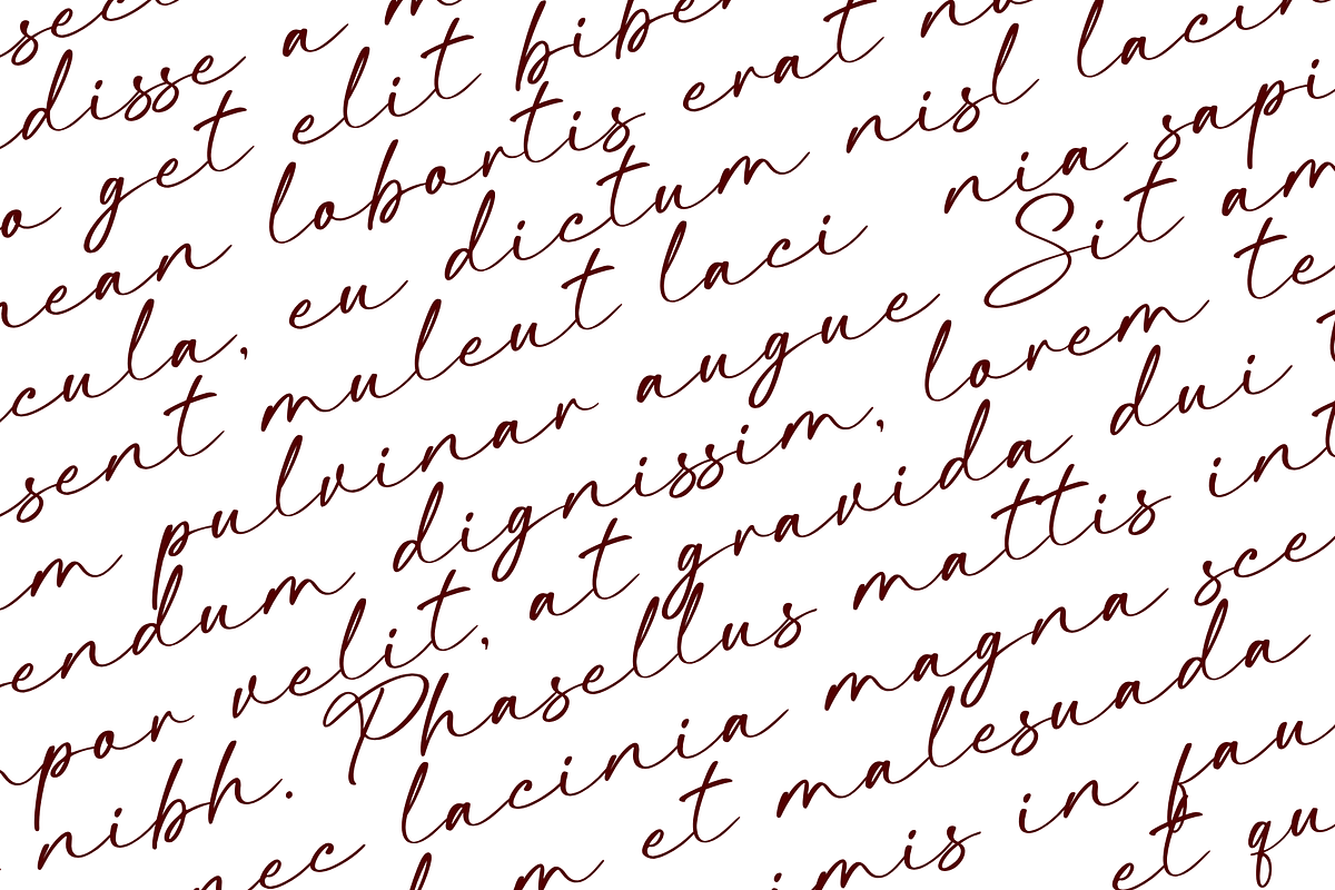 Beatina – Signature Font, a Script Font by Basnistudio (Photo 2 of 11)