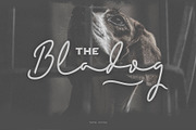 Bladog Font Duo, a Script Font by Vacatype Co. (Thumbnail 1 of 5)