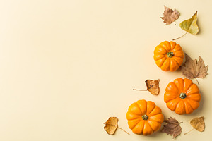 Autumn fall thanksgiving day composi stock photo containing pumpkin and