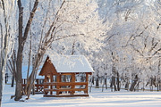 Cosy winter. Bundle of 14 images., a Background Photo by lisa870 (Thumbnail 3 of 17)