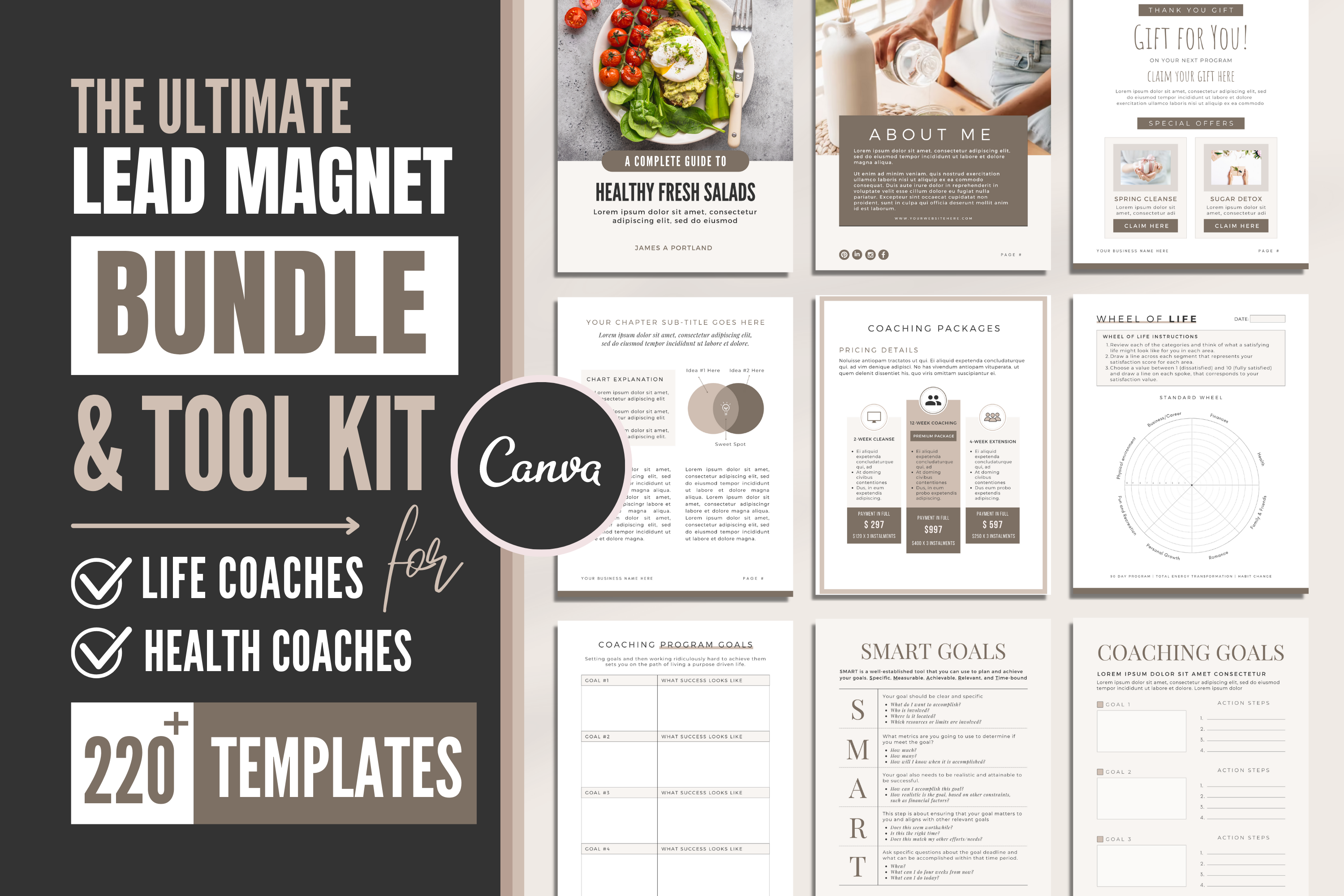 Coaching Lead Magnet Bundle | Canva, a Brochure Template by Designs by ...