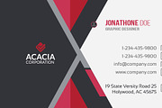 Business Card, a Business Card Template by DesignGhar (Thumbnail 5 of 5)