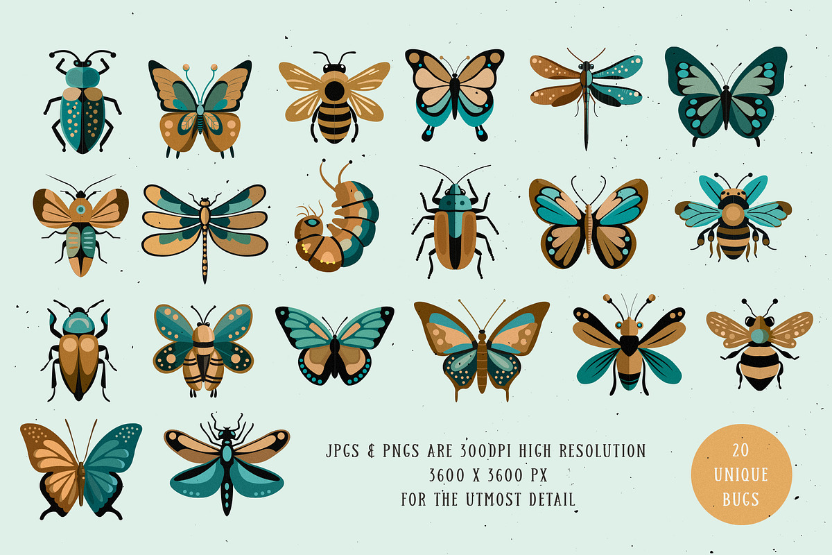 Curious Entomology Collection, an Animal Illustration by Cosy Fox (Photo 2 of 9)
