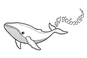 Whale Line Art Vector Bundle, an Illustration by yasushie (Thumbnail 24 of 51)