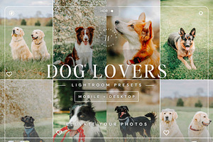 25 Bright Dog Lightroom Presets, a Preset Add-On by TheWayfarerShoppe