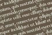 Aurenza - Modern Serif Font, a Serif Font by Rishsketch (Thumbnail 8 of 15)