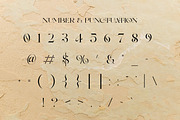 Tears of Joy | Display Serif, a Serif Font by Muntab_Art (Thumbnail 9 of 9)