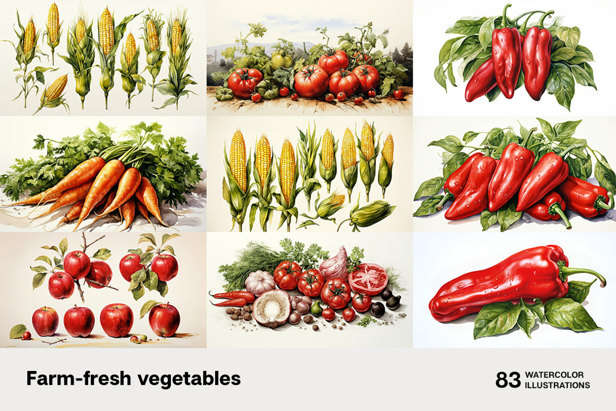 Farm-fresh vegetables. 83 images, a Food Illustration by Handmadefont (Photo 8 of 14)
