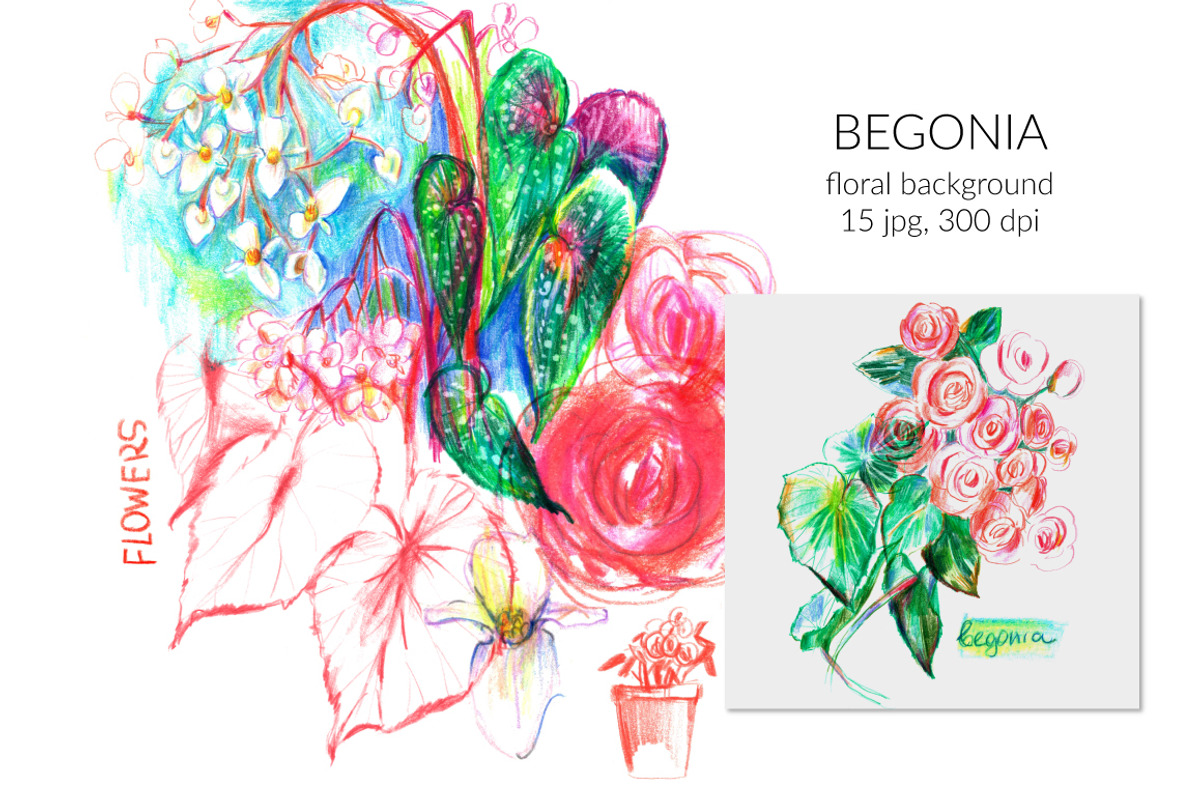 Begonia floral background, a Decorative Illustration by katya.bogina (Photo 1 of 5)