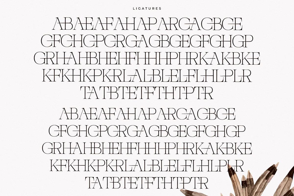 Nocashe New Display Serif Font, a Serif Font by Storytype Studio (Photo 13 of 15)