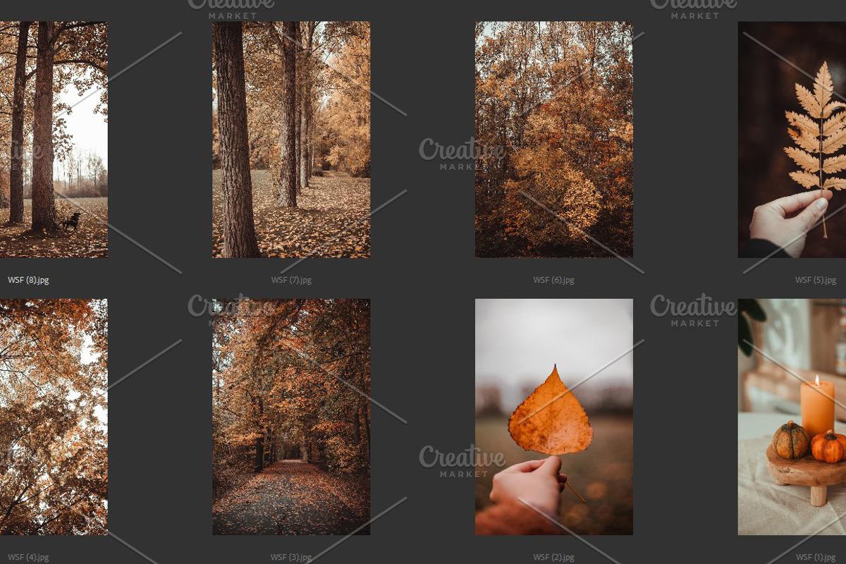 Cozy FALL Season (45 images), a Nature Photo by studiottander (Photo 6 of 9)