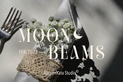Orchestra - Modern Elegant Serif, a Serif Font by RagamKata (Thumbnail 5 of 13)