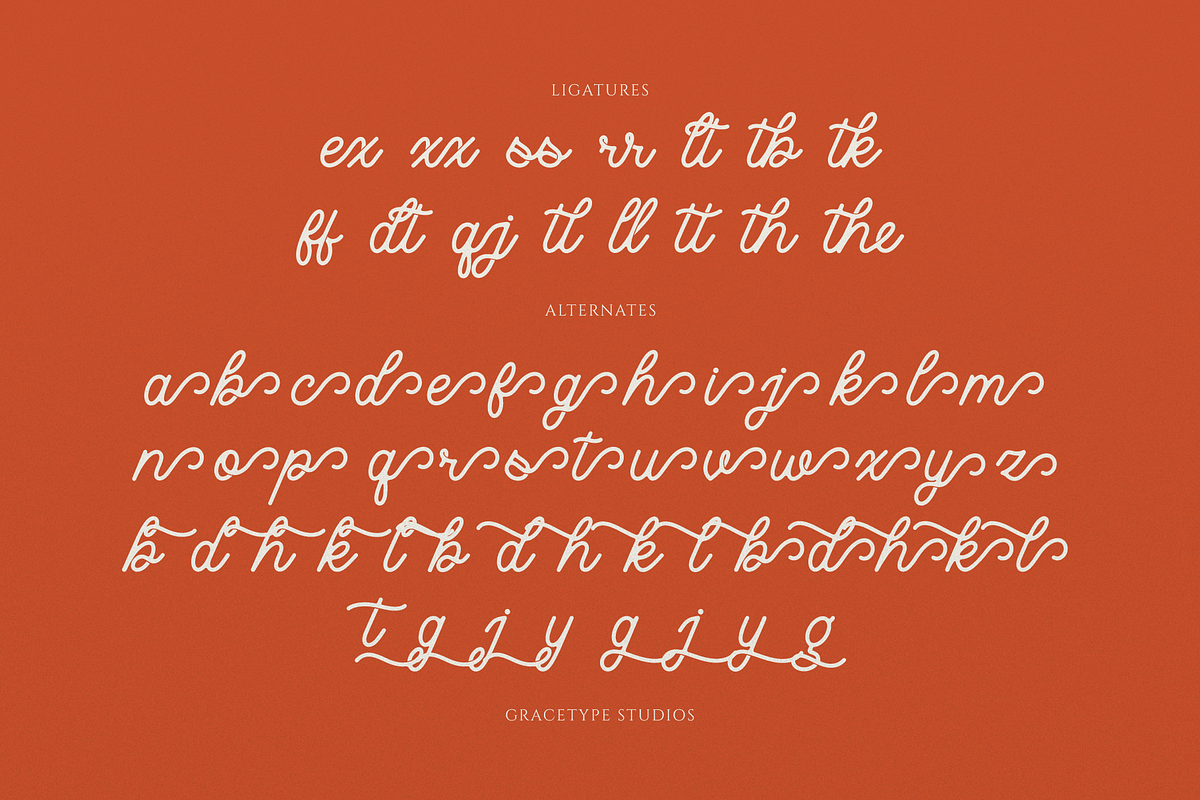 Caniora Florents | Monoline Script, a Script Font by gracetype_studio (Photo 12 of 12)