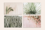 Palm & Cactus Bundle, a Nature Photo by Floral Deco (Thumbnail 4 of 6)